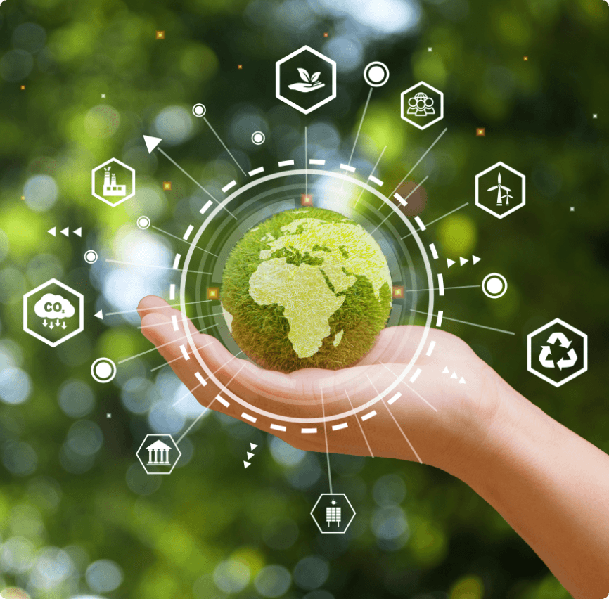 sustainability-focus-optimize