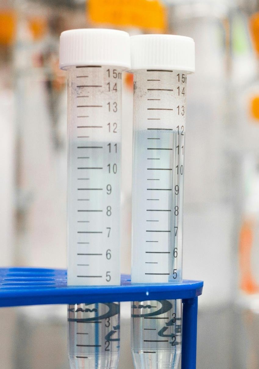 test-tubes-laboratory-equipment-scientific-research-chemistry