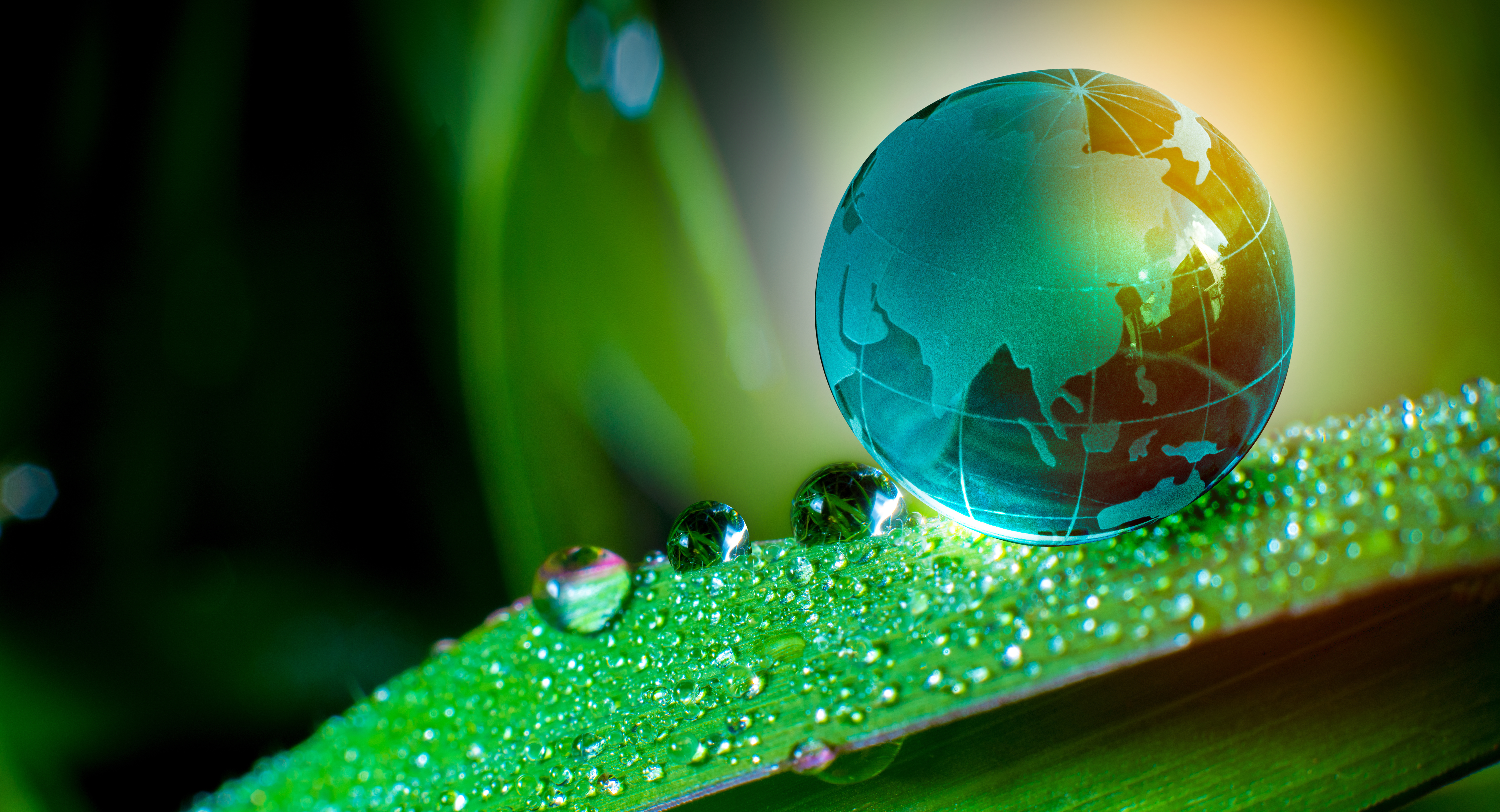 GeonSustainability